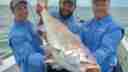 Inshore Jew Fish with ET