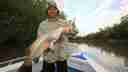 Barra fishing in the Cobourg creeks