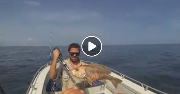 Fishing for Golden Snapper and Coral Trout on the Cobourg