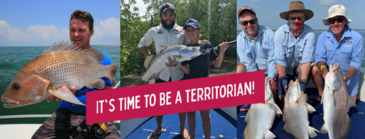 25% Discount for Territorians in 2020