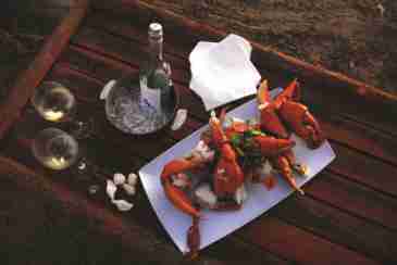 The Best Chilli Mud Crab in the Northern Territory