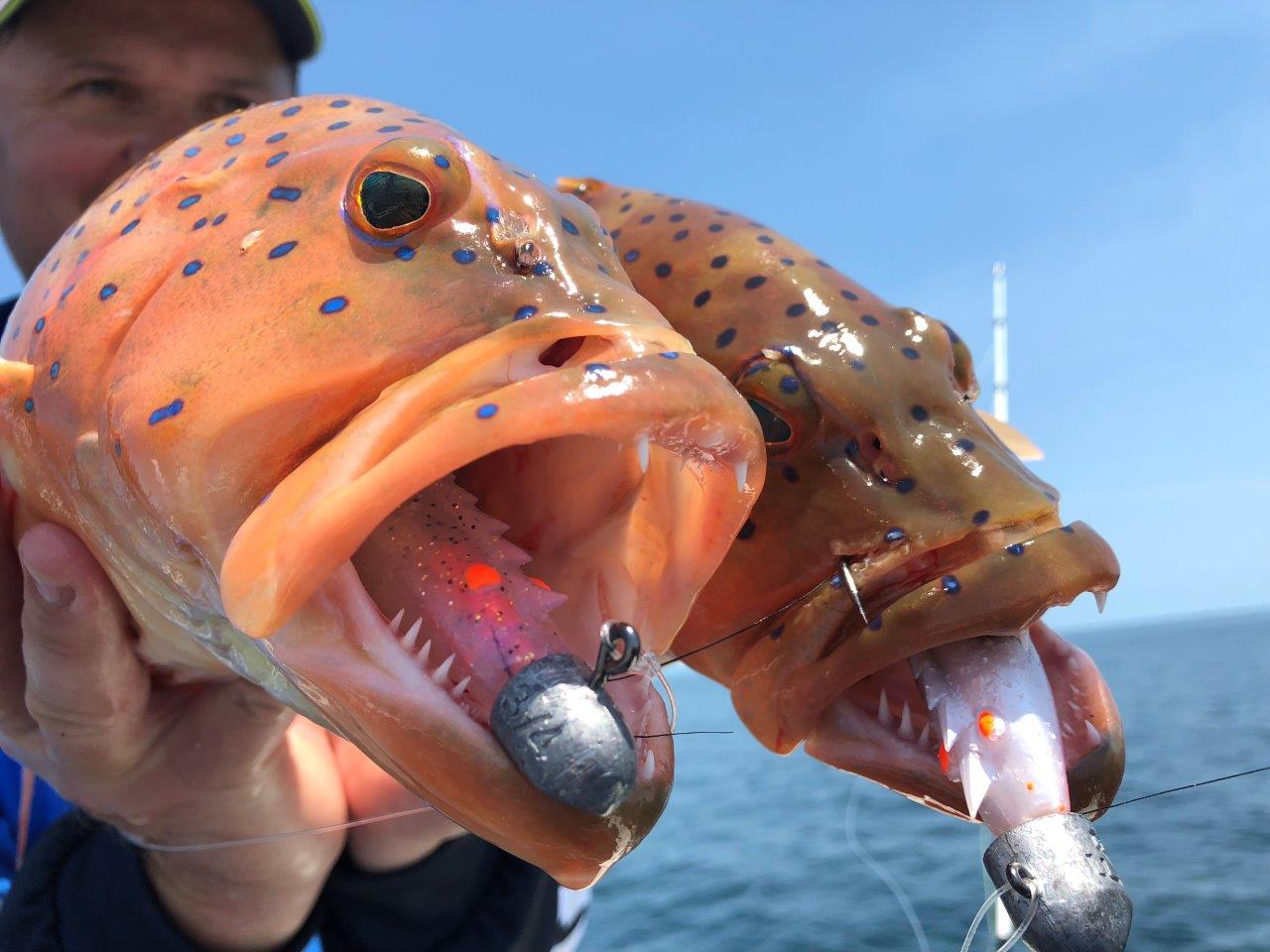 Our Top 5 lures for fishing on the Cobourg Peninsula. Tuna