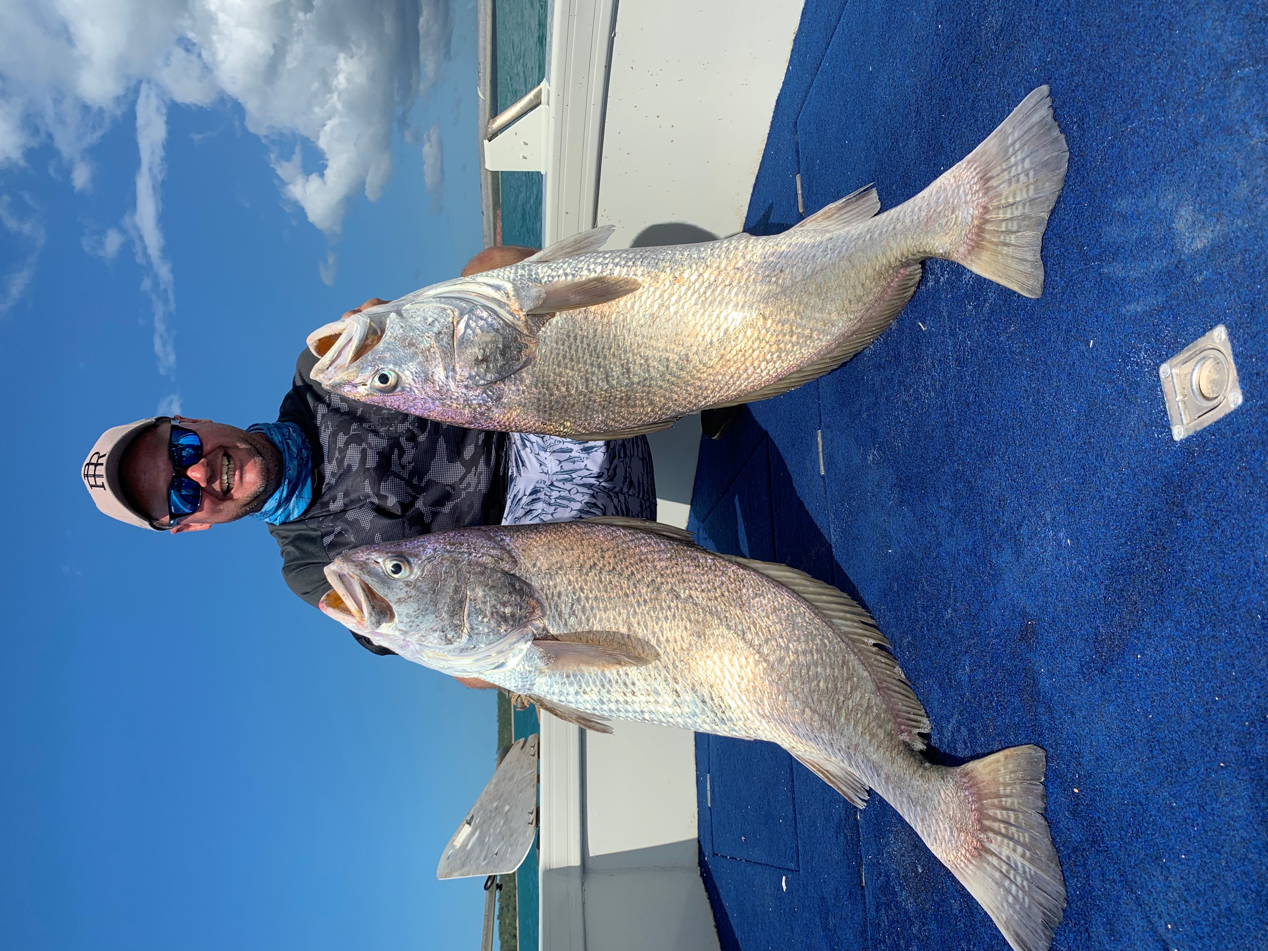 jewfish-cobourg-peninsula